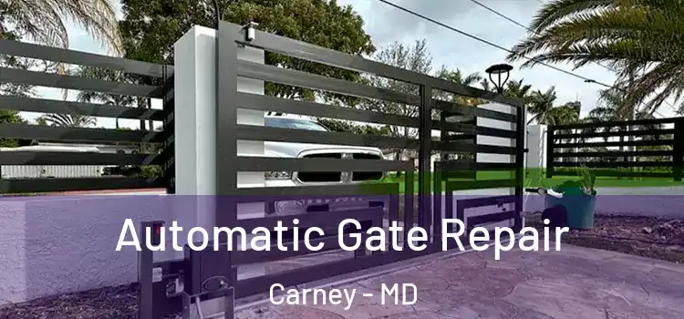 Automatic Gate Repair Carney - MD