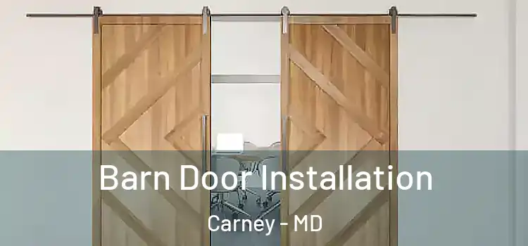 Barn Door Installation Carney - MD