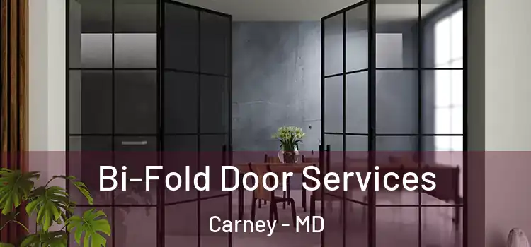 Bi-Fold Door Services Carney - MD