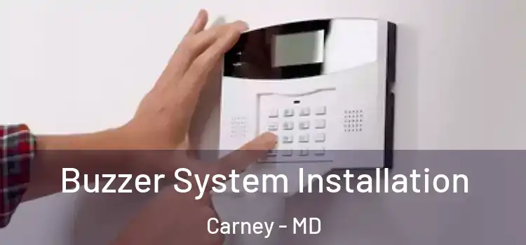 Buzzer System Installation Carney - MD