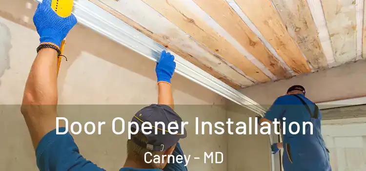 Door Opener Installation Carney - MD