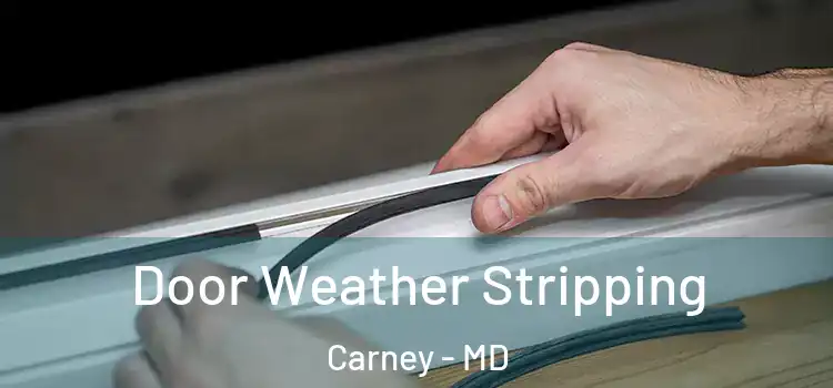 Door Weather Stripping Carney - MD