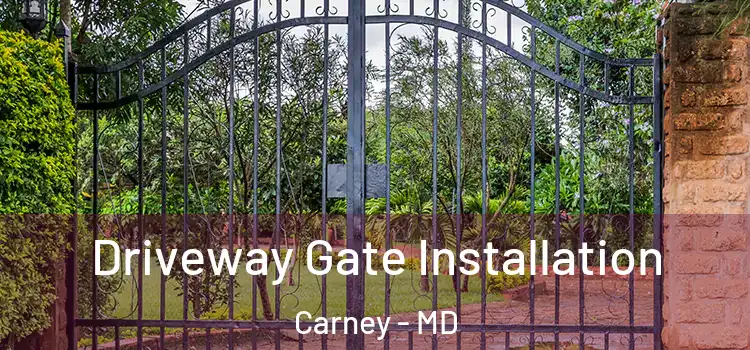 Driveway Gate Installation Carney - MD