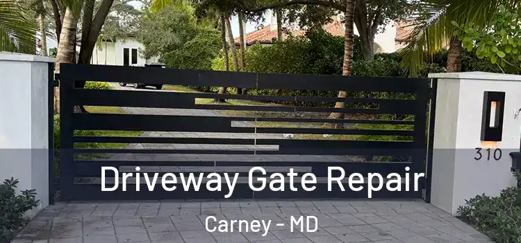 Driveway Gate Repair Carney - MD