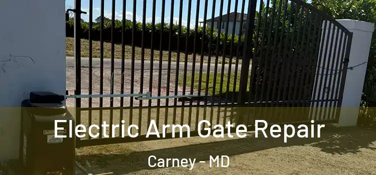 Electric Arm Gate Repair Carney - MD