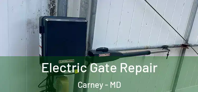 Electric Gate Repair Carney - MD