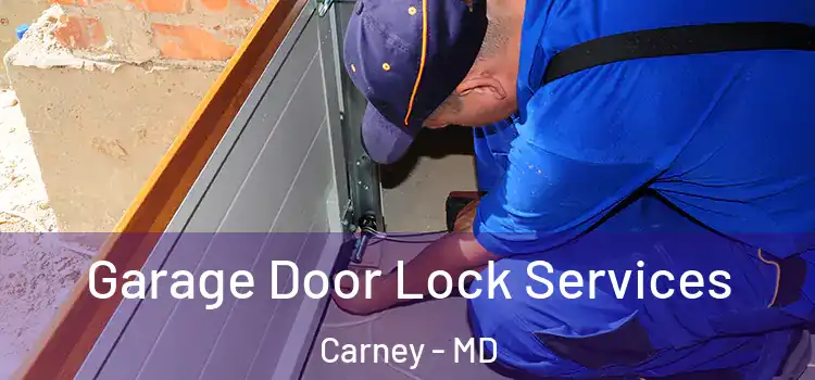 Garage Door Lock Services Carney - MD