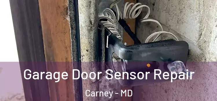 Garage Door Sensor Repair Carney - MD