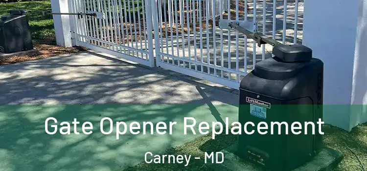Gate Opener Replacement Carney - MD