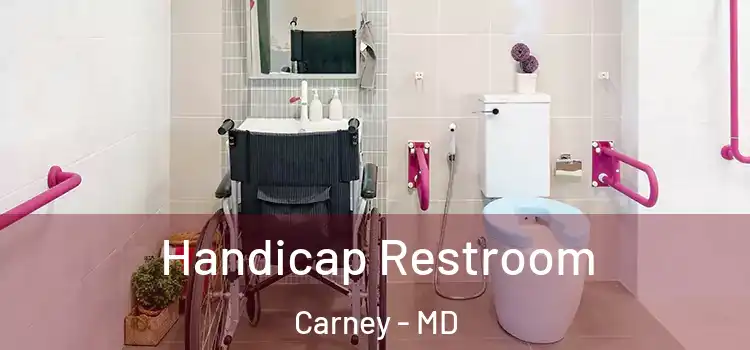 Handicap Restroom Carney - MD