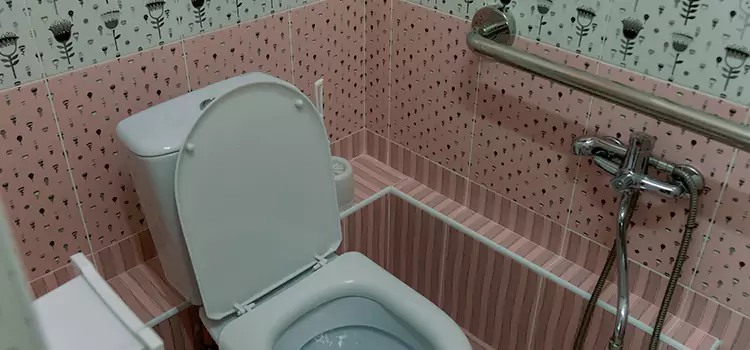 Meeting Diverse Needs With Accessible Restroom Solutions in Carney, MD