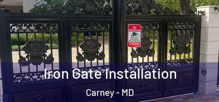 Iron Gate Installation Carney - MD