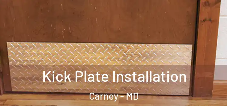 Kick Plate Installation Carney - MD
