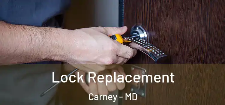 Lock Replacement Carney - MD