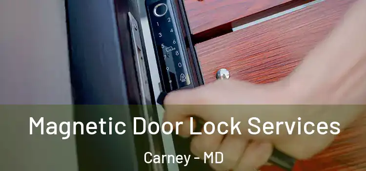 Magnetic Door Lock Services Carney - MD