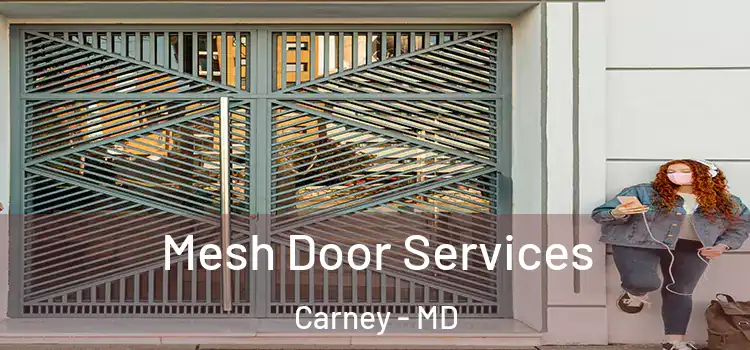 Mesh Door Services Carney - MD