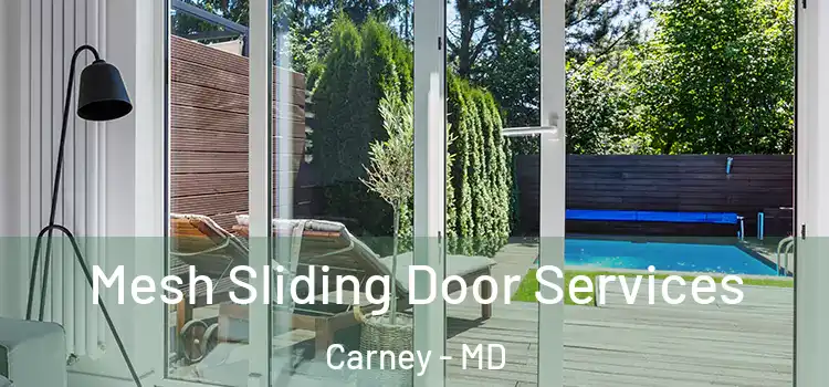 Mesh Sliding Door Services Carney - MD