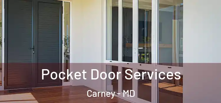 Pocket Door Services Carney - MD
